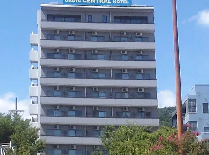 冈谷市中央大酒店